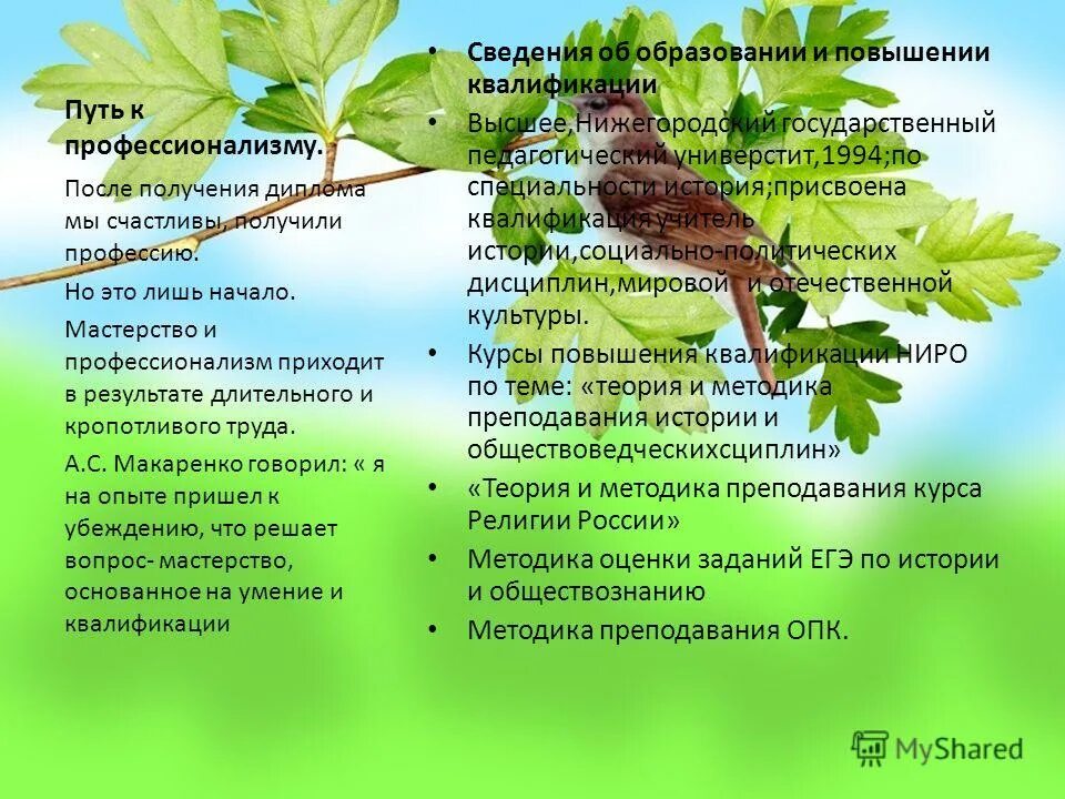 Суха теория мой друг а древо. Суха теория мой друг а древо жизни пышно зеленеет. Суха теория мой друг а древо жизни пышно зеленеет автор. Суха теория мой друг а древо жизни пышно. Суха теория мой друг а древо жизни зеленеет.