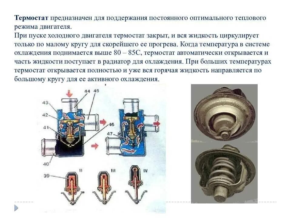 Термостат для чего