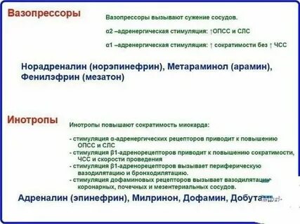 Вазопрессоры