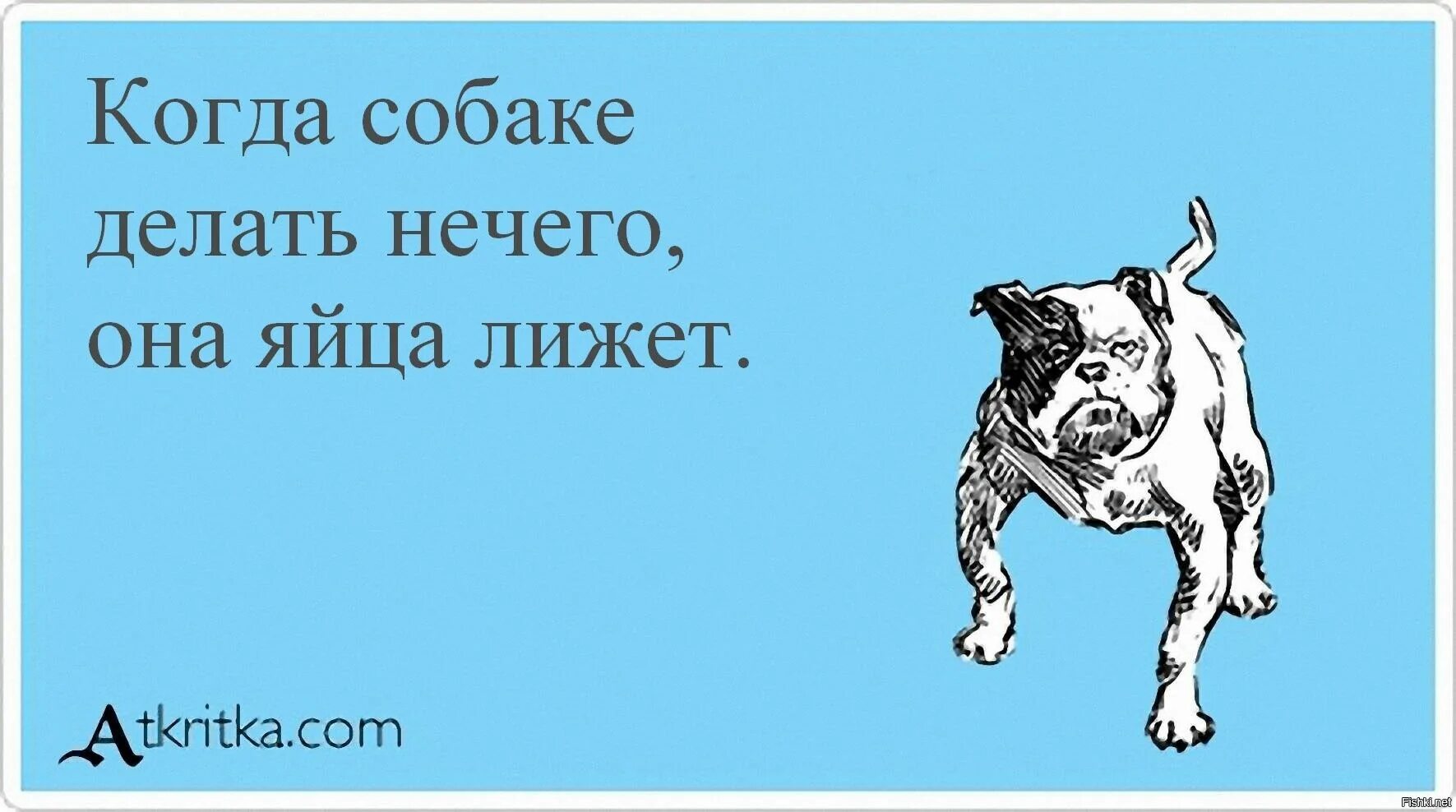 Бывшие шавки. Собаки лают Караван идет. Сабаки Лаию каравани ИДТ. Собаки люят Караван идёт. Собака лает каравантидет.