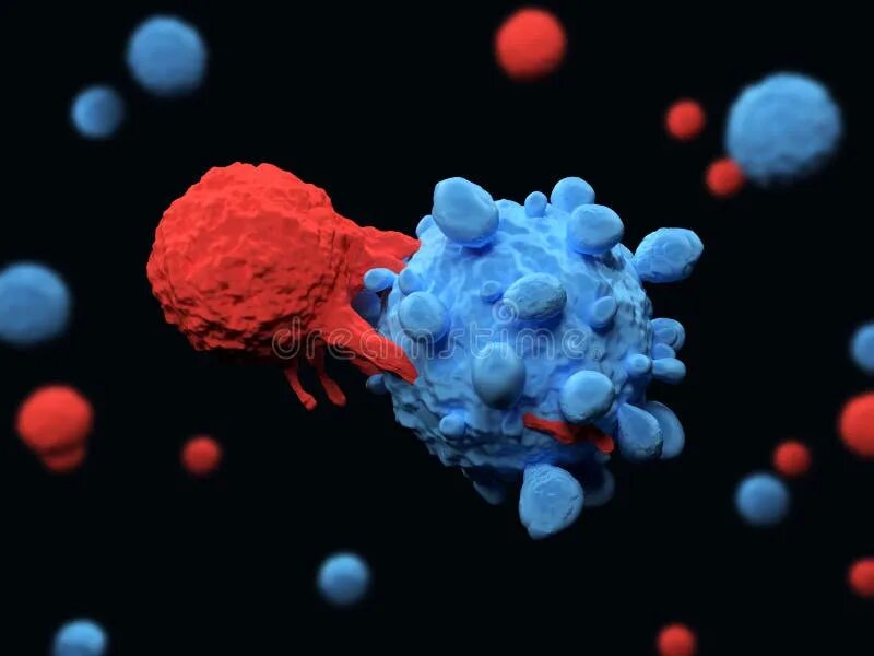 Клетки иммунной системы. Т клетки. Лимфоциты и раковые клетки. Собственные иммунные клетки