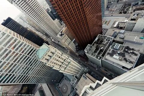 The roof of the building