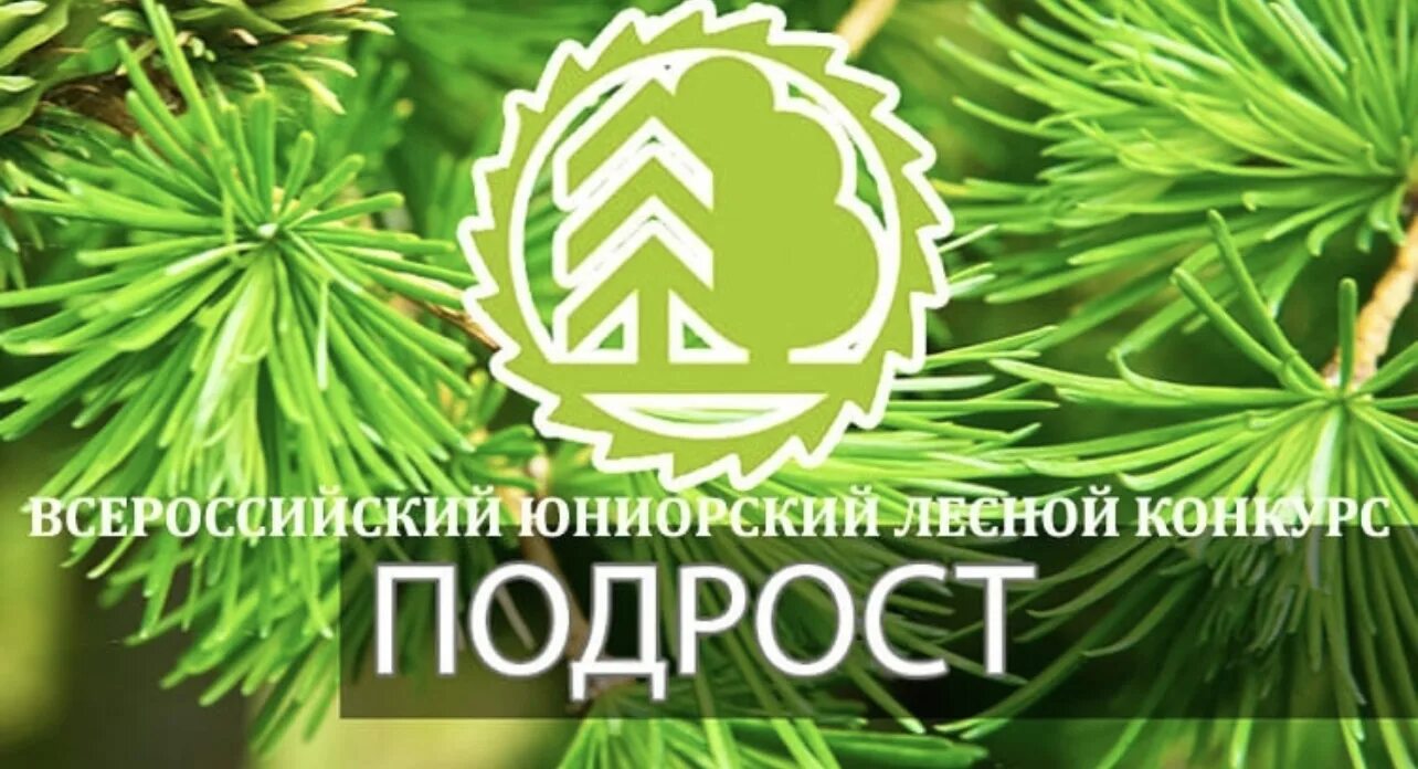 Конкурс подрост картинки. Конкурс подрост 2023. Подрост конкурс рослесхоз. Всероссийского юниорского лесного конкурса «подрост». Конкурс подрост.