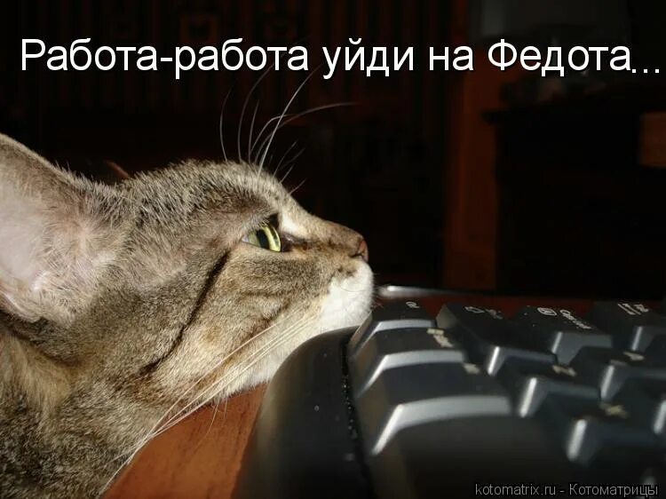 Не хочу на работу. Только что приехала на работу. Приду с работы напишу. Приду с работы напишу. Приду с работы напишу.