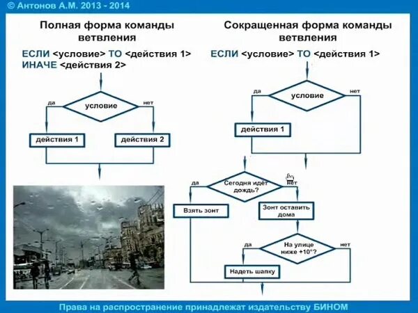 Ветвления составные условия 11 класс информатика. Информатика 6 класс алгоритмы с ветвлениями. пример алгоритма с ветвлением 6 класс информатика. алгоритм с ветвлением 8 класс информатика. информатика босова 6 класс алгоритмы с ветвлениями.