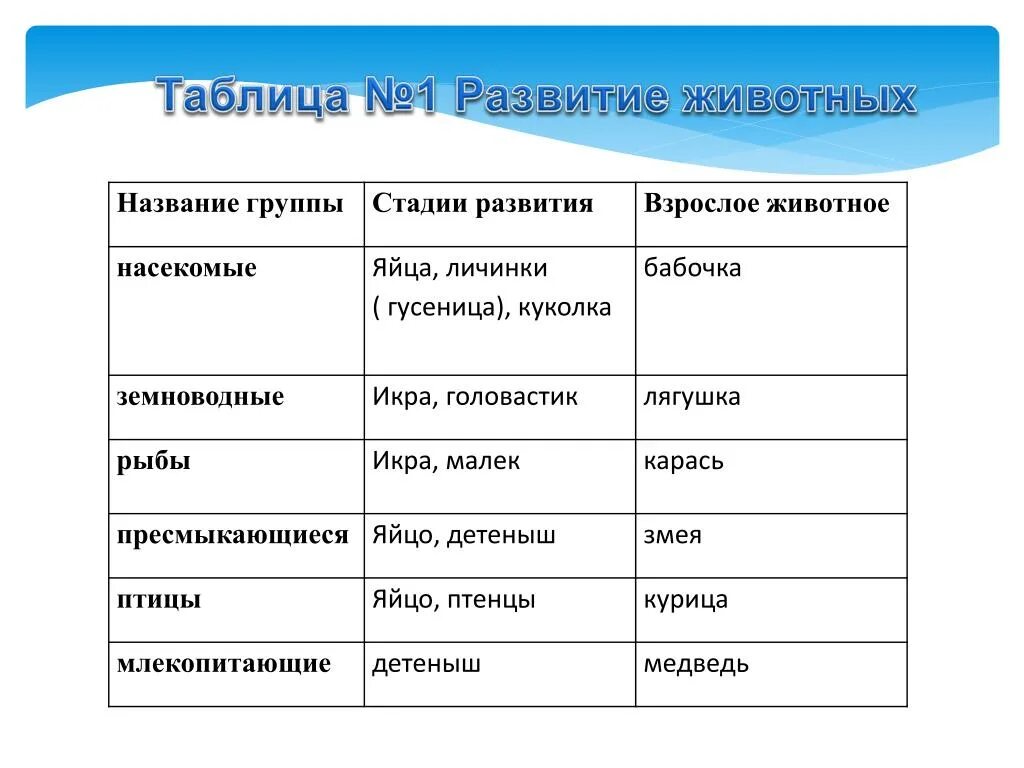 Основные этапы развития животных 8 класс. Размножение и развитие животных таблица. Таблица группа животных размножение развитие 3 класс. Размножение и развитие животных 3 класс таблица. Этапы развития животных 3 класс.