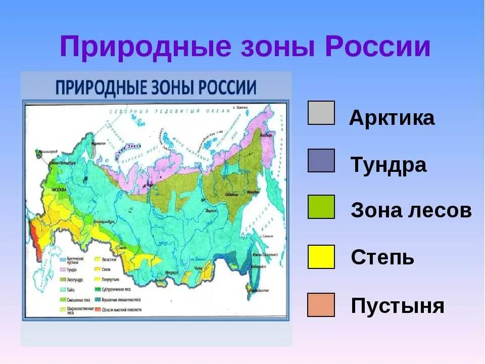 Природные зоны россии конспект урока 4 класс