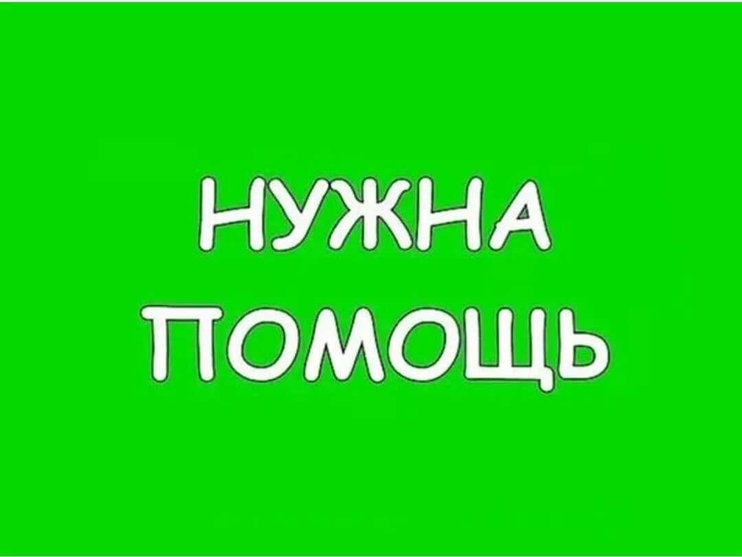 Требуется помощь. Нужна помощь. нужна помощь картинка. нужна ваша помощь.