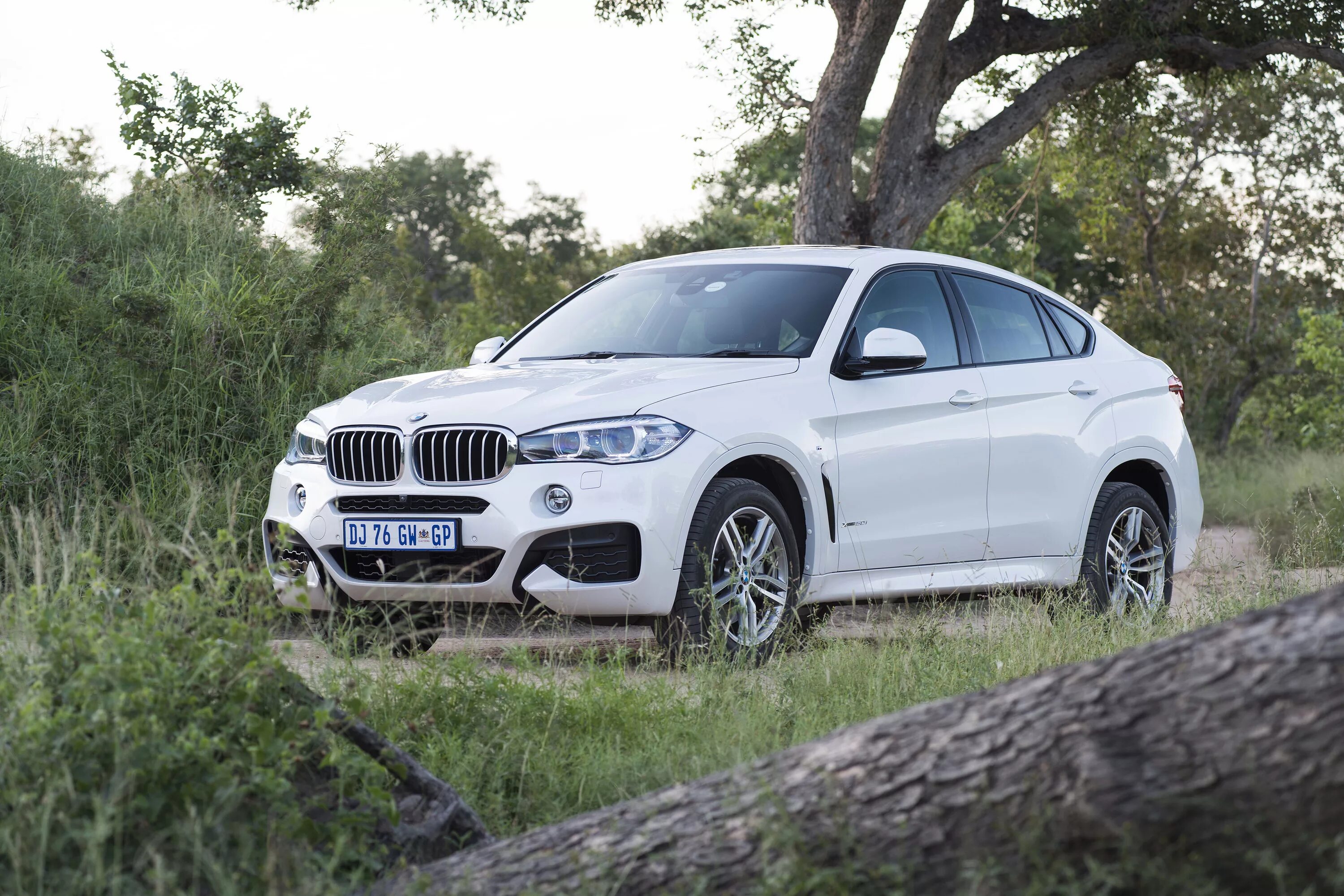 BMW x6 f16. BMW x6 m Sport. BMW x6 f16 m Sport. BMW x6 f16 White.