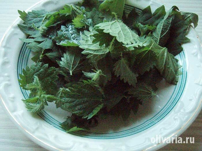 Поедание крапивы в Великобритании. Nettle eating (поедание крапивы). Соревнования по поеданию крапивы.