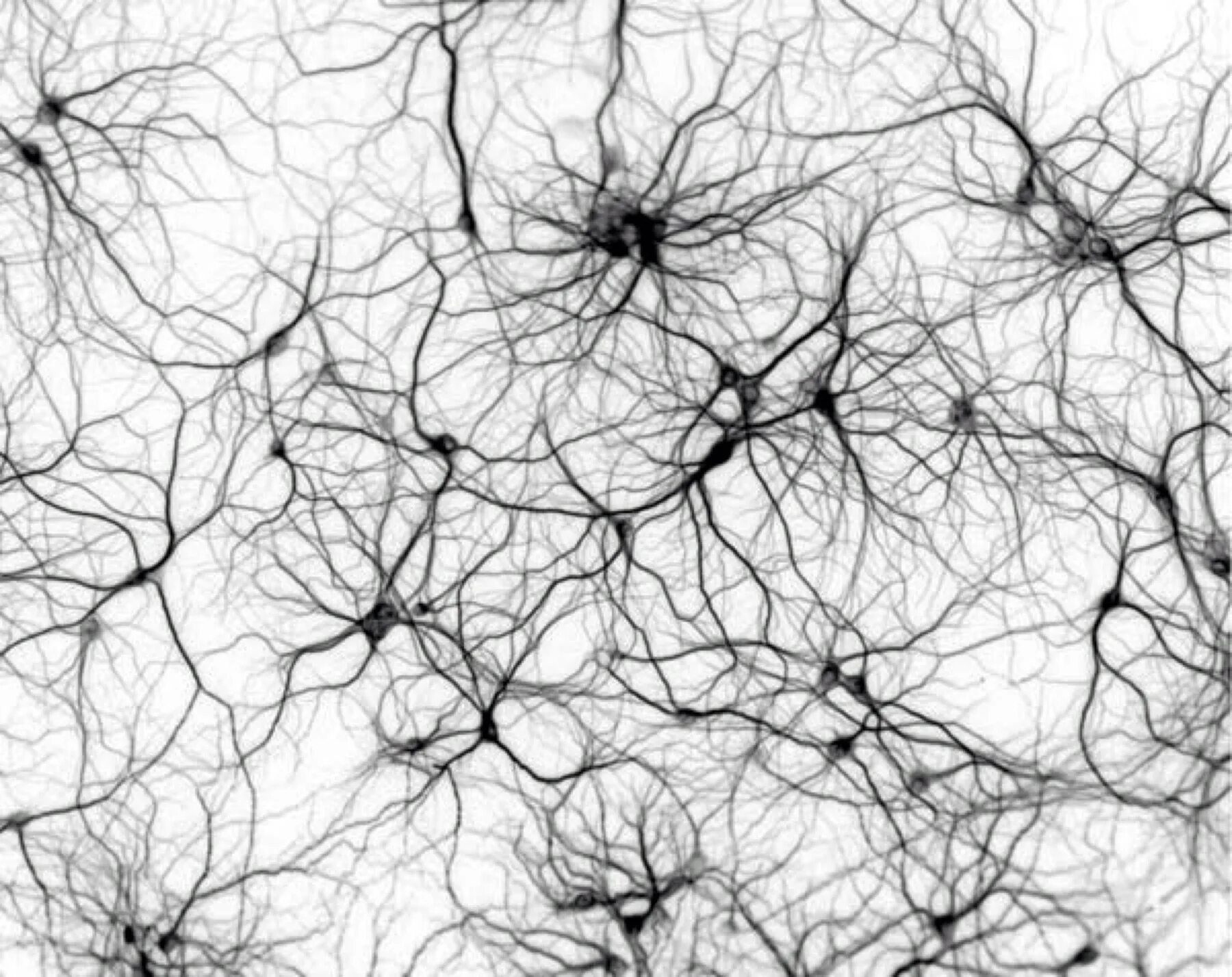 Neural network art