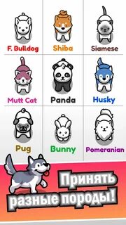 Idle pet