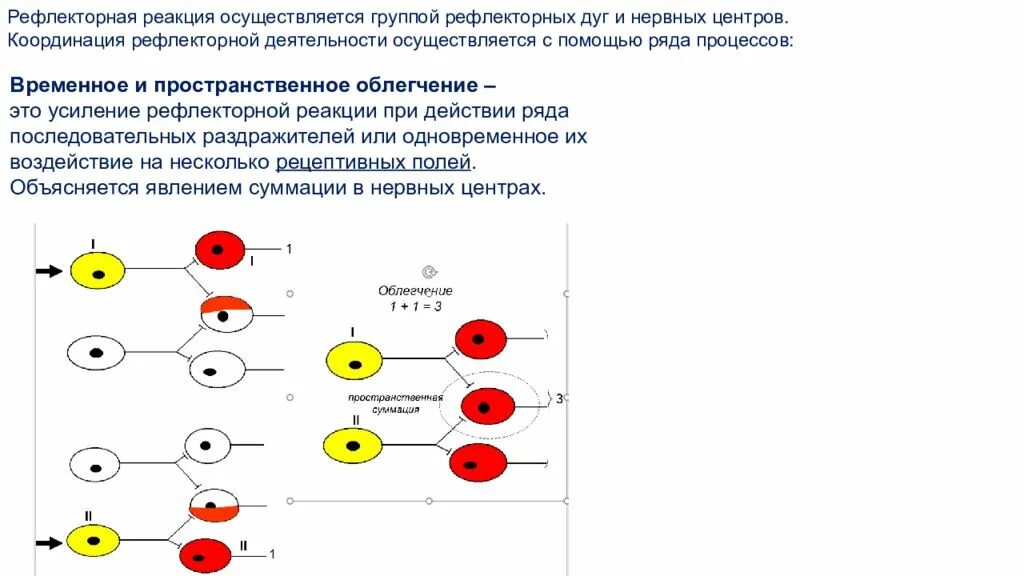 Нервно рефлекторная реакция