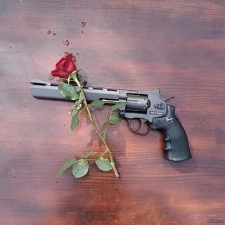 Пистолеты и розы