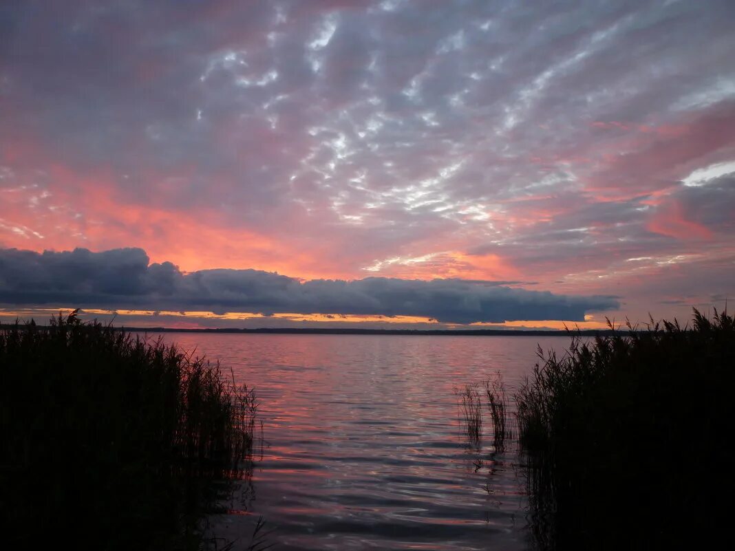 сиреневый закат. малиновый рассвет. закат розовый вечер песня. эстетика природы розовые. закат розовый вечер песня.