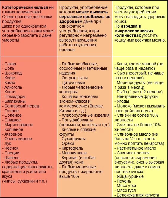 Перечень продуктов для кошки. Что нельзя есть кошкам список. Список еды для кошек. Список продуктов которые нельзя есть кошкам. Можна давать