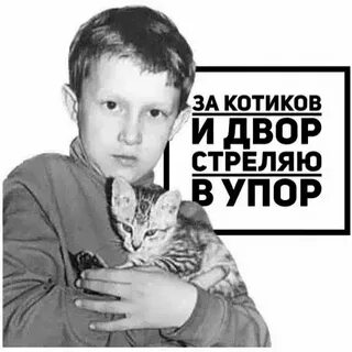 Песня двора стреляю в упор