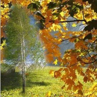 Картинка листопад анимация