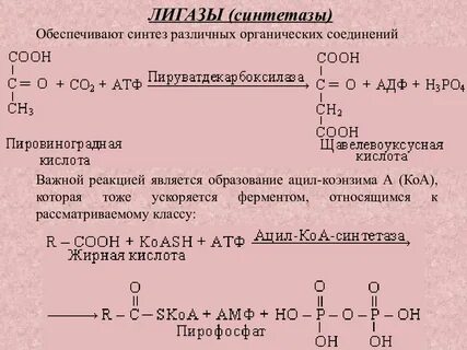 Лигаза