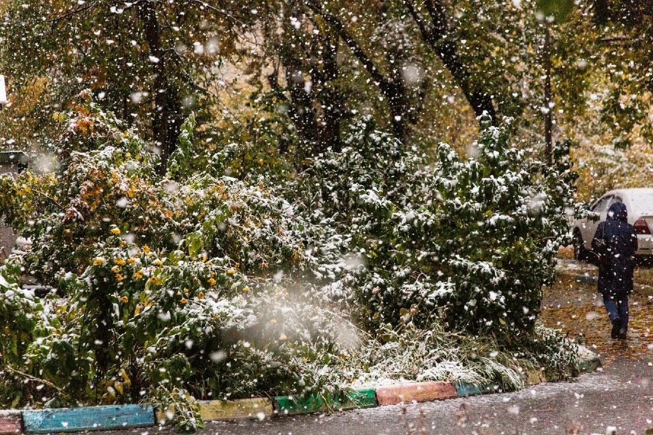 Снег 15 декабря. Первый снег осенью. летний снег. снег с дождем. первый снег в городе.