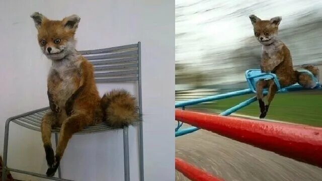 Упоротый лис мемы. Страшное чучело лисы. Лиса сидит на стуле. Упоротая лиса на стуле. Мем лиса на стуле.