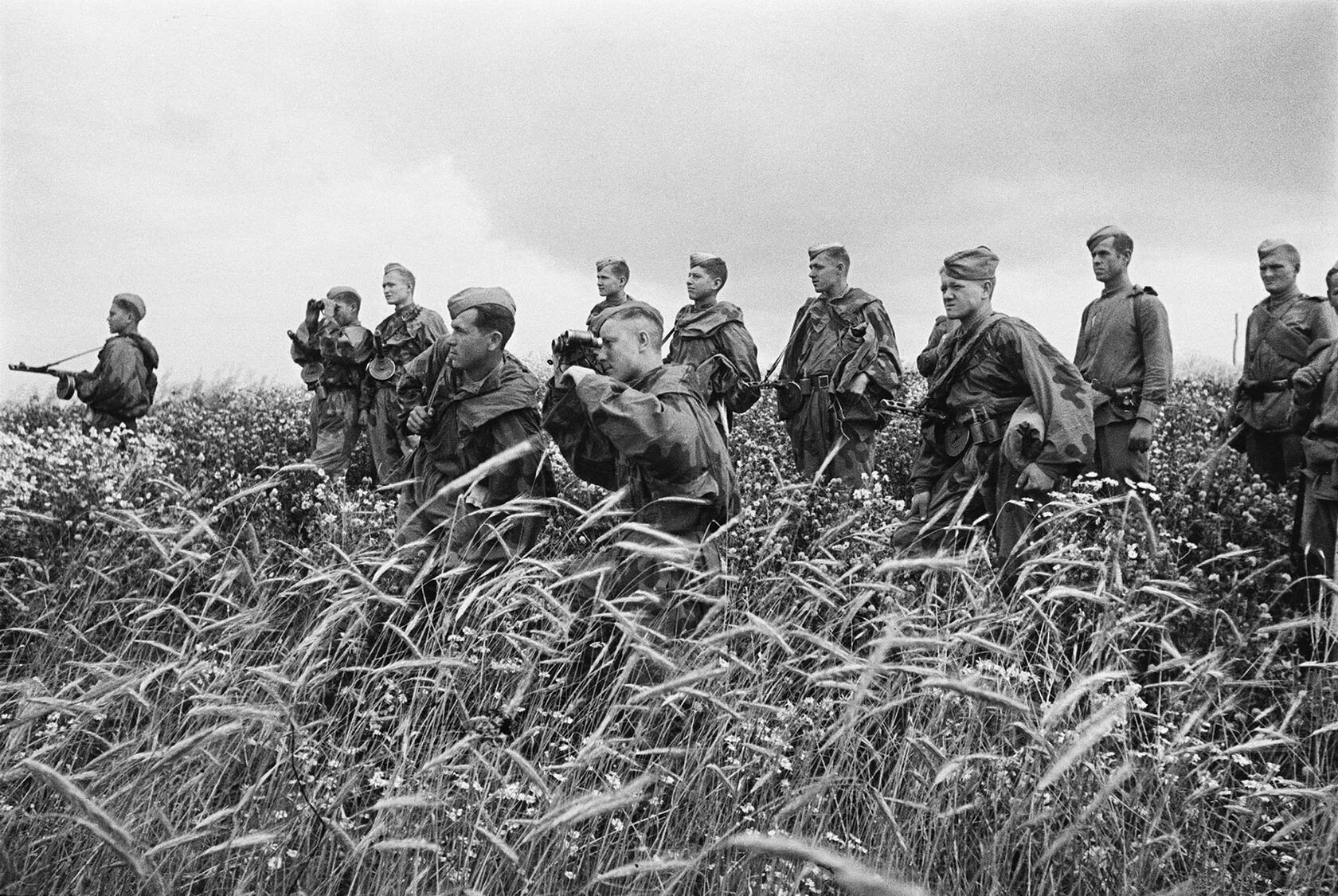 Львовско Сандомирская операция 1944 года. Освобождение Западной Украины 1944. Льво́вско-Сандоми́рская опера́ция (13 июля — 29 августа 1944). Львовско-Сандомирская операция (13 июля — 29 августа 1944). Операция ркка 1944