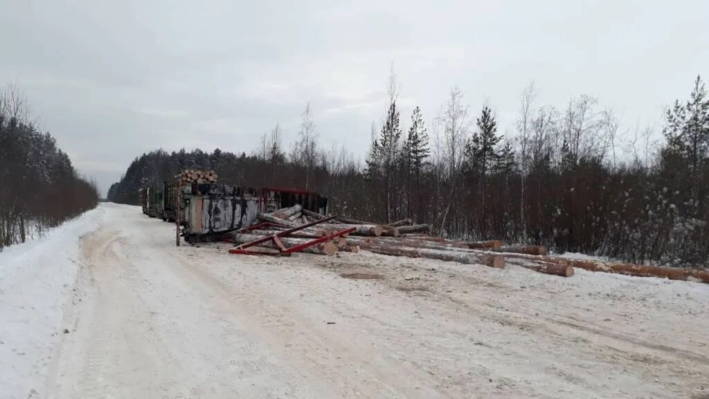 Деревня прокшино. Прокшино каргополь состояние дороги. Погода в прокшино вологодская. Погода в прокшино вологодская. Погода в прокшино вологодская.