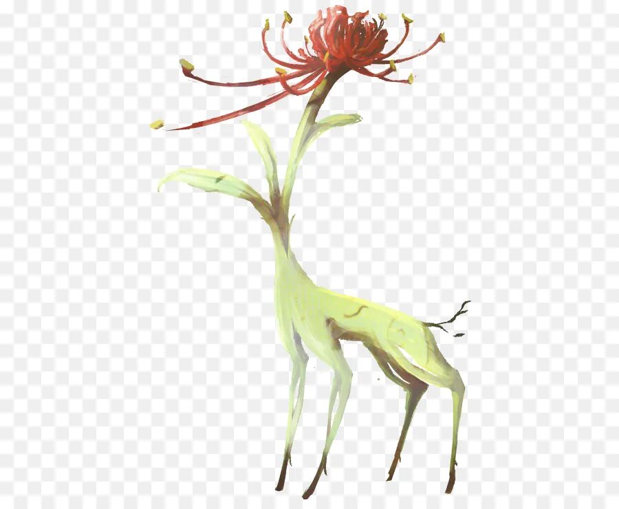 Frozen spider lily art. Frozen spider lily art