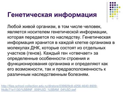 Генетическая информация