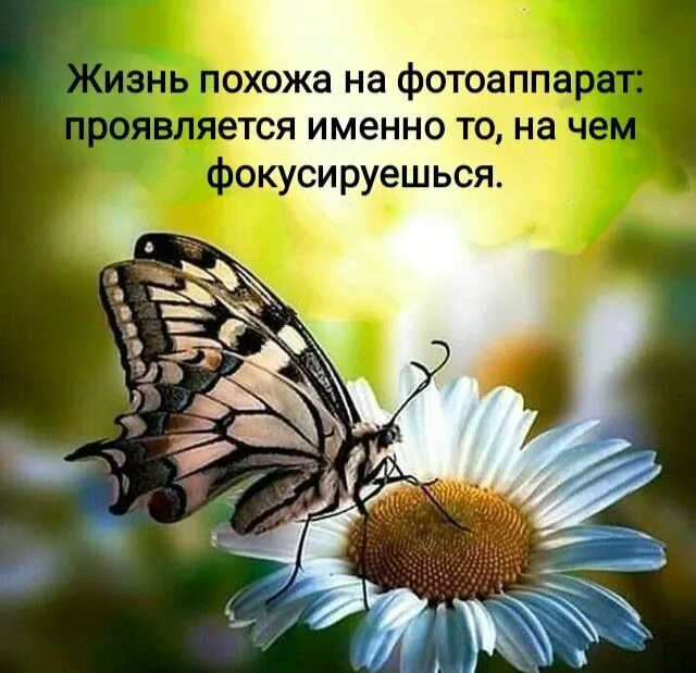 Хорошего дня и отличного со смыслом. Позитивные открытки. пусть ваши печальки превратятся в ерундульки. хорошего дня картинки позитивные. всем хорошего дня и отличного настроения цитаты.