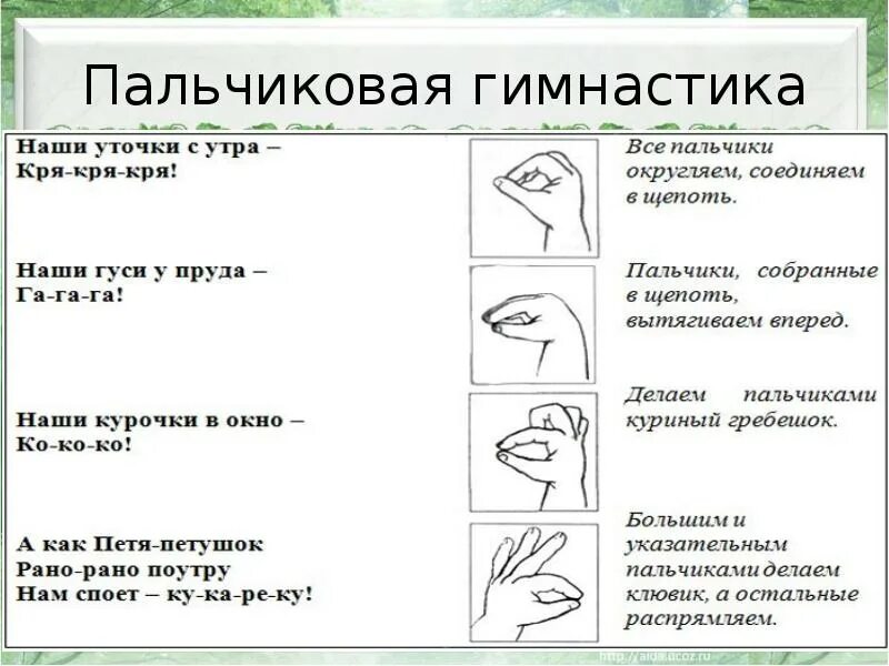 Пальчиковая гимнастика. Пальчиковая гимнастика упражнения. Пальчиковая гимнастика. Гимнастика для рук и пальцев для детей для развития речи. Пальчиковая гимнастика для мозга для людей старшего возраста.