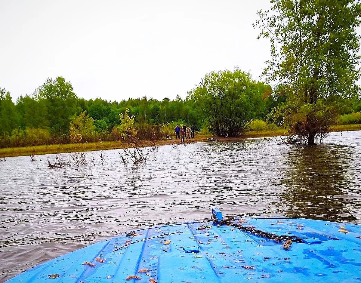 Уровень воды в каме на сегодня сарапул. Затонувшие города. Кама река вода. База отдыха на берегу Камы. Удмуртия природа Кама.