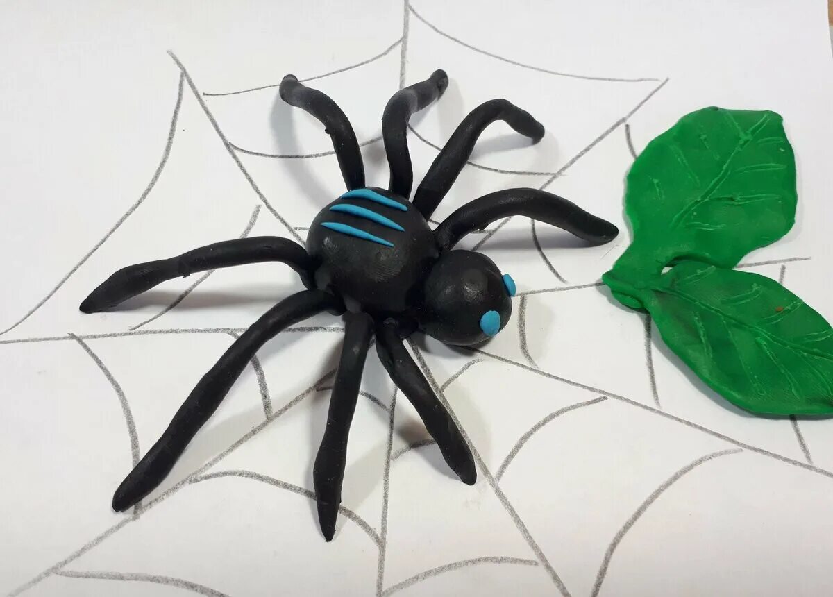 паук птицеед из пластилина. лепим паука из пластилина. паук лепить из пластилина. паук из пластилина. паук из пластилина для детей пошагово.