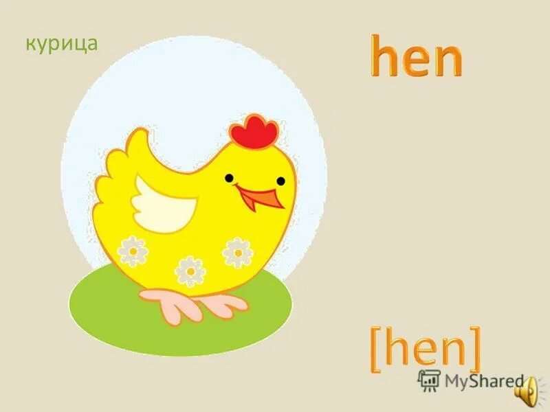 Кур перевод на русский. Курица на английском. Цыпленок на англ. Курица карточка по английскому. Карточки с английским словом курица.