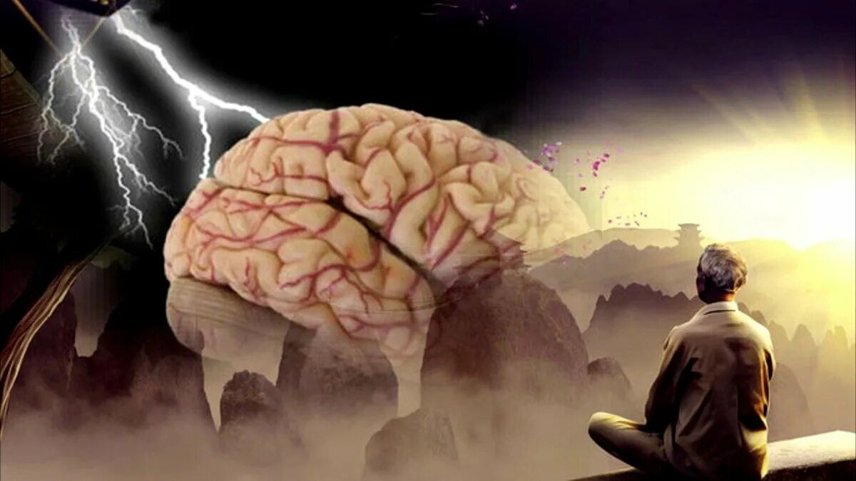 Как видеть мозгом. Мозг думает. Мысли в голове.
