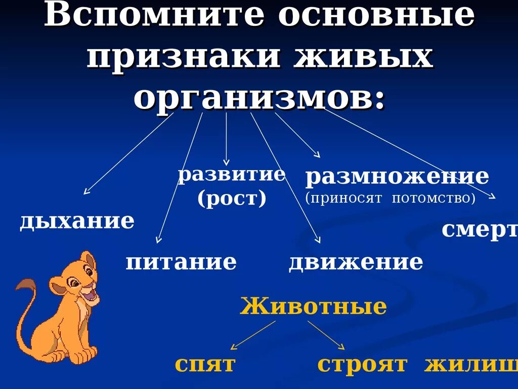 Основной всего живого является. Признаки живыъь организмов. Признаки живых существ. Живые организмы животные. Человек живой организм 1 класс Естествознание.