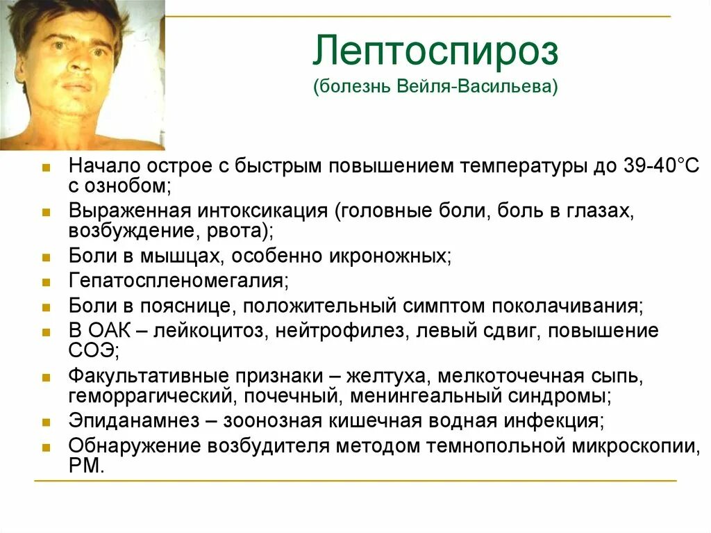 Боли в пояснице озноб температура. Безжелтушная форма лептоспироза клиника. Клинические признаки лептоспироза. Лептоспироз у человека симптомы. Клинические синдромы лептоспироза.