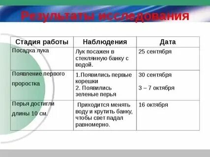 Практическая работа биология 5 класс луковица таблица