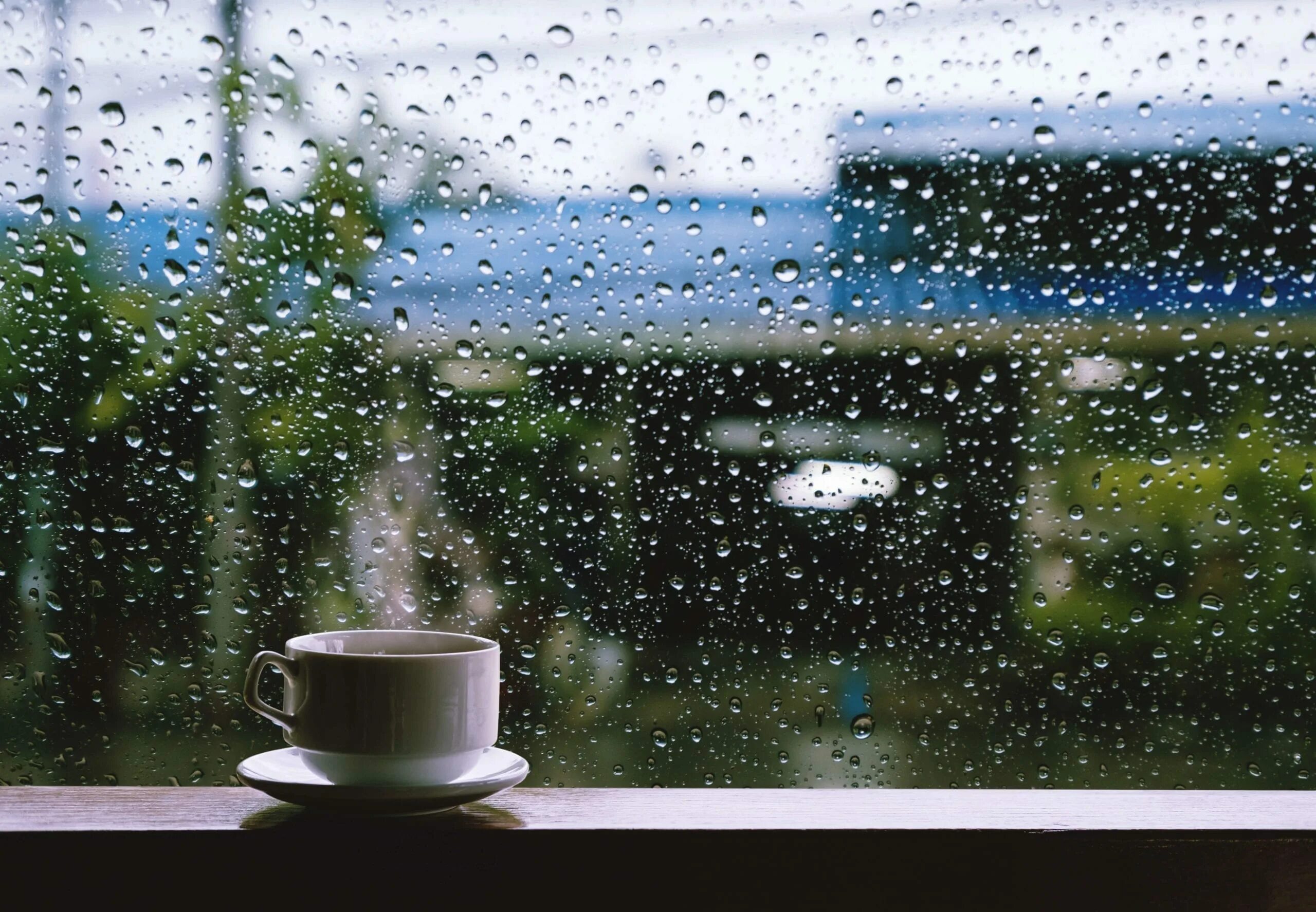 Drinking in the rain
