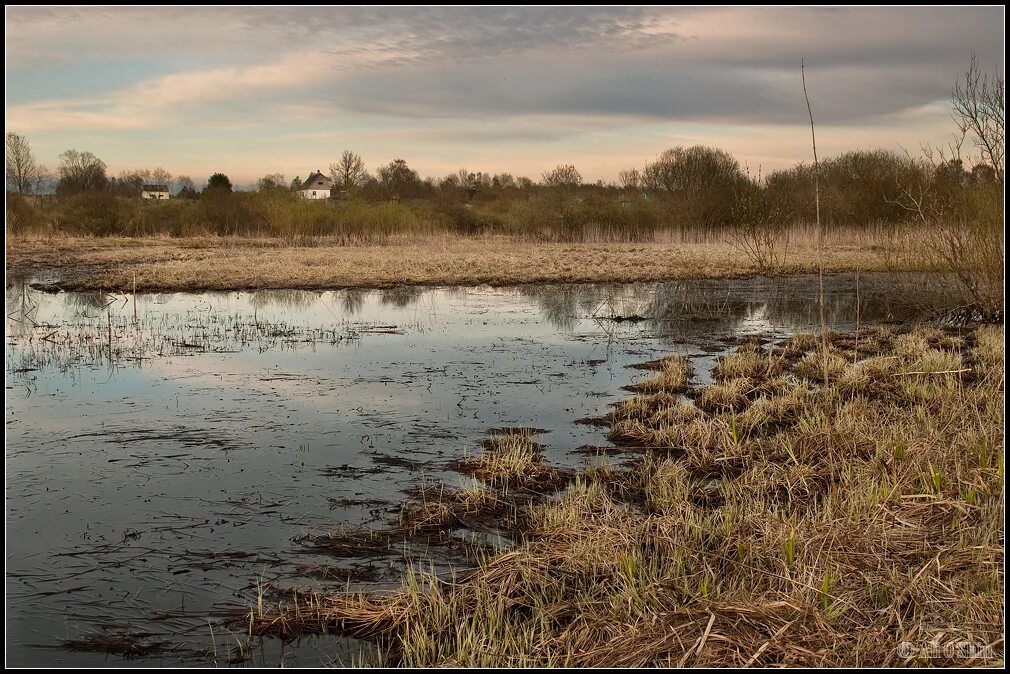гримпенская трясина собака баскервилей. девоншир гримпенская трясина. трясина болота собака баскервилей.