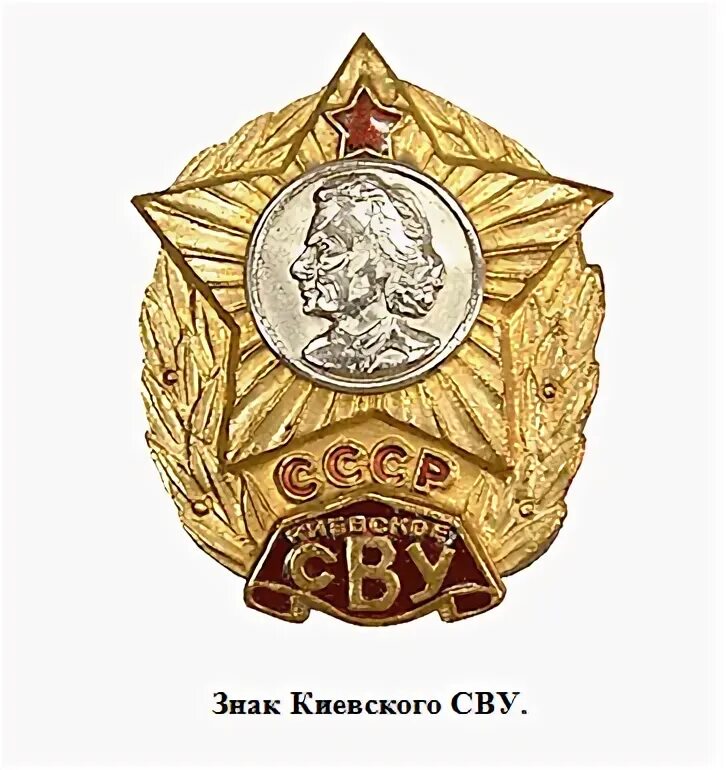 Карта сву. Знак выпускника Суворовского училища. Киевское СВУ значки. Знак окончания Суворовского училища. Знак об окончании Суворовского военного училища.