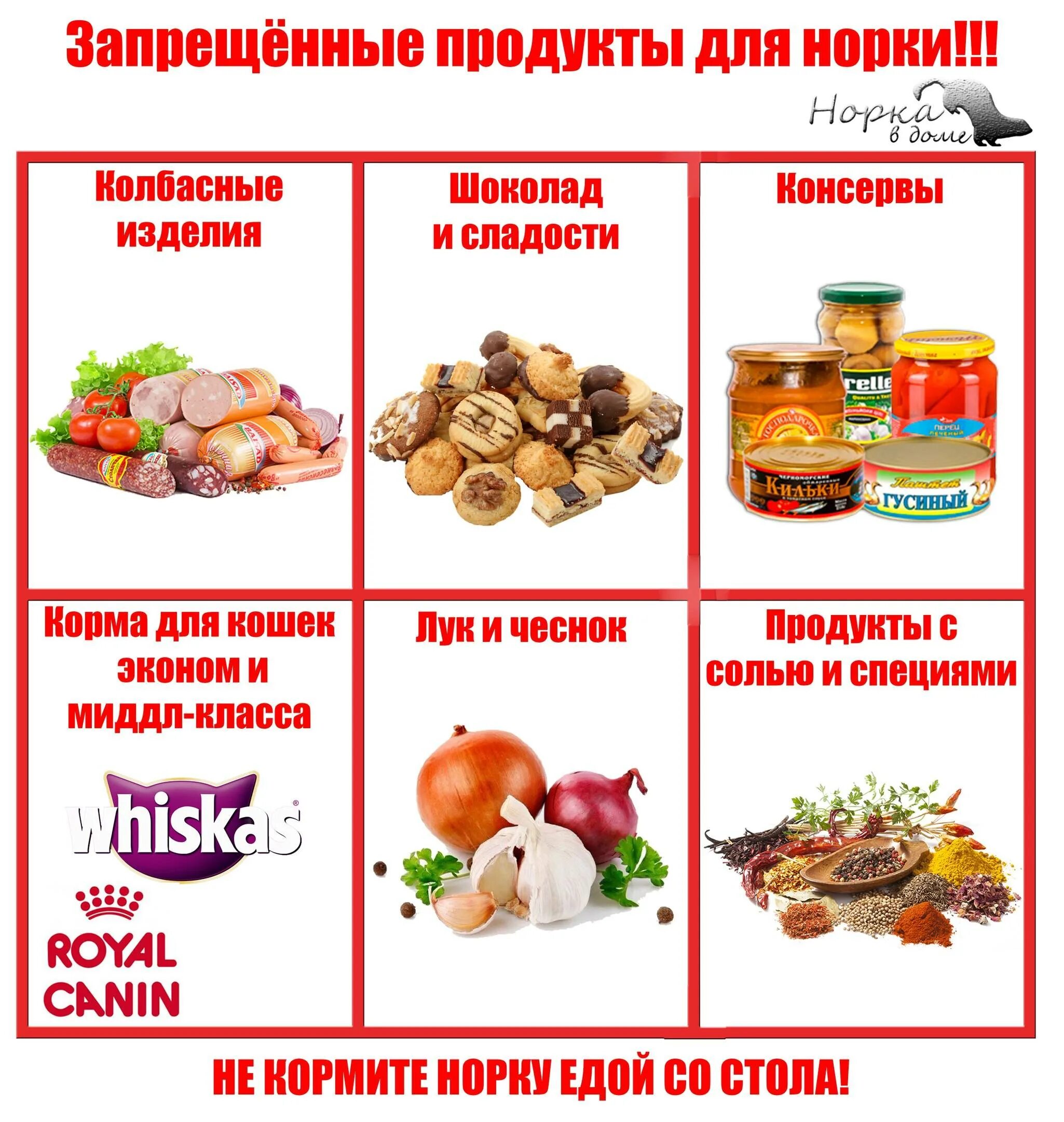 Какие продукты нельзя давать. Запрещенные продукты. запрещенные продукты для собак. запретные продукты. какие продукты запрещено давать собакам.