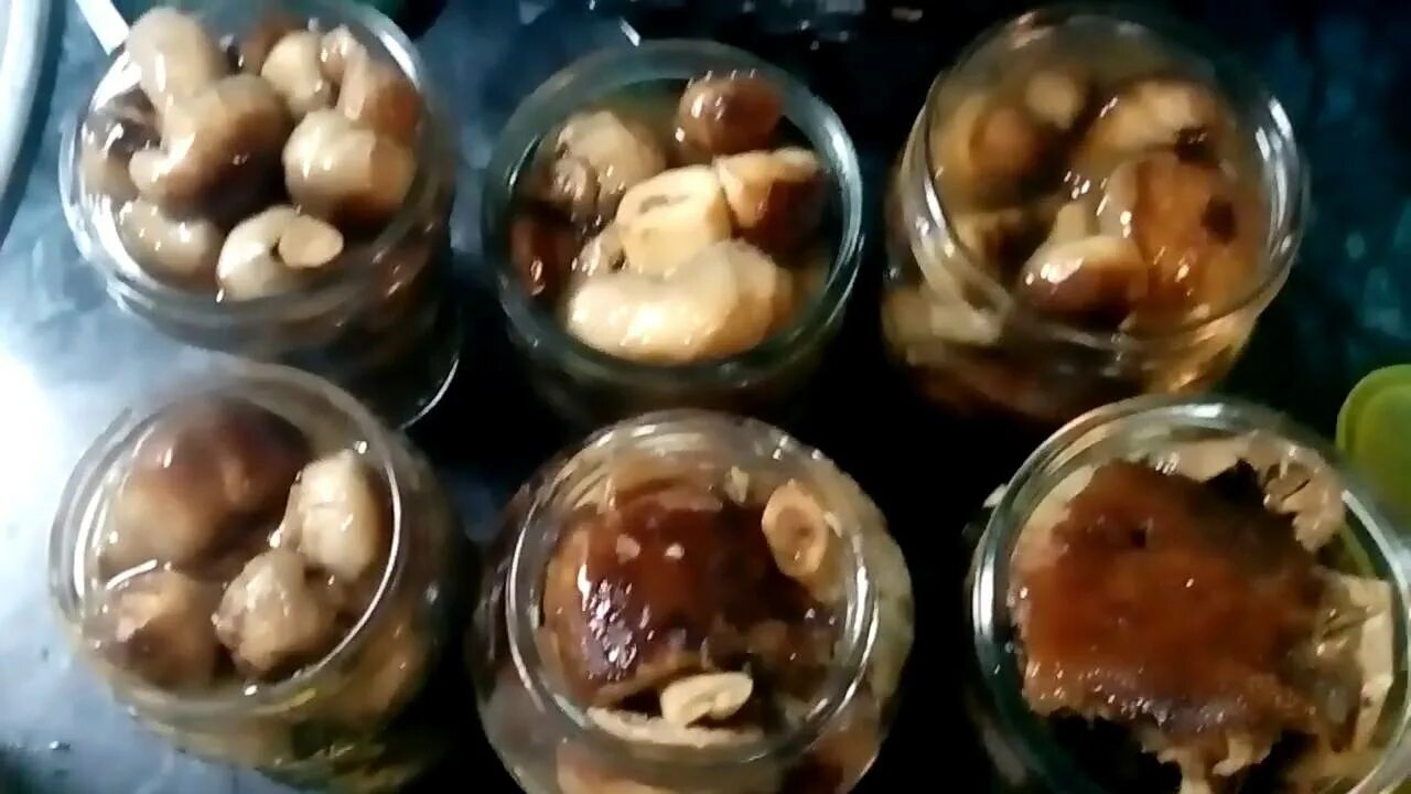 Маринованные грибы валуи на зиму. Маринованные грибы кульбики. грибы бычки соленые. валуи грибы маринованные. валуй засолка.