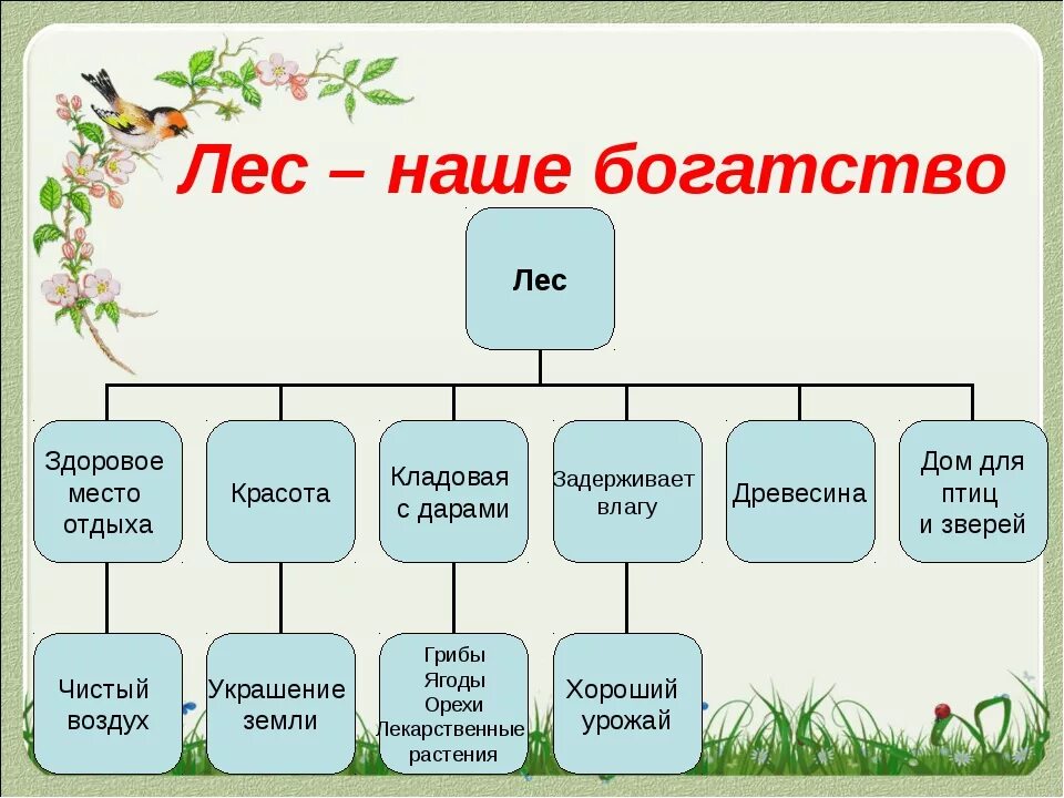 Богатство составить предложение. Проект лес наше богатство. Тема лес наше богатство. Лес наше богатство для дошкольников. Лесные богатства.