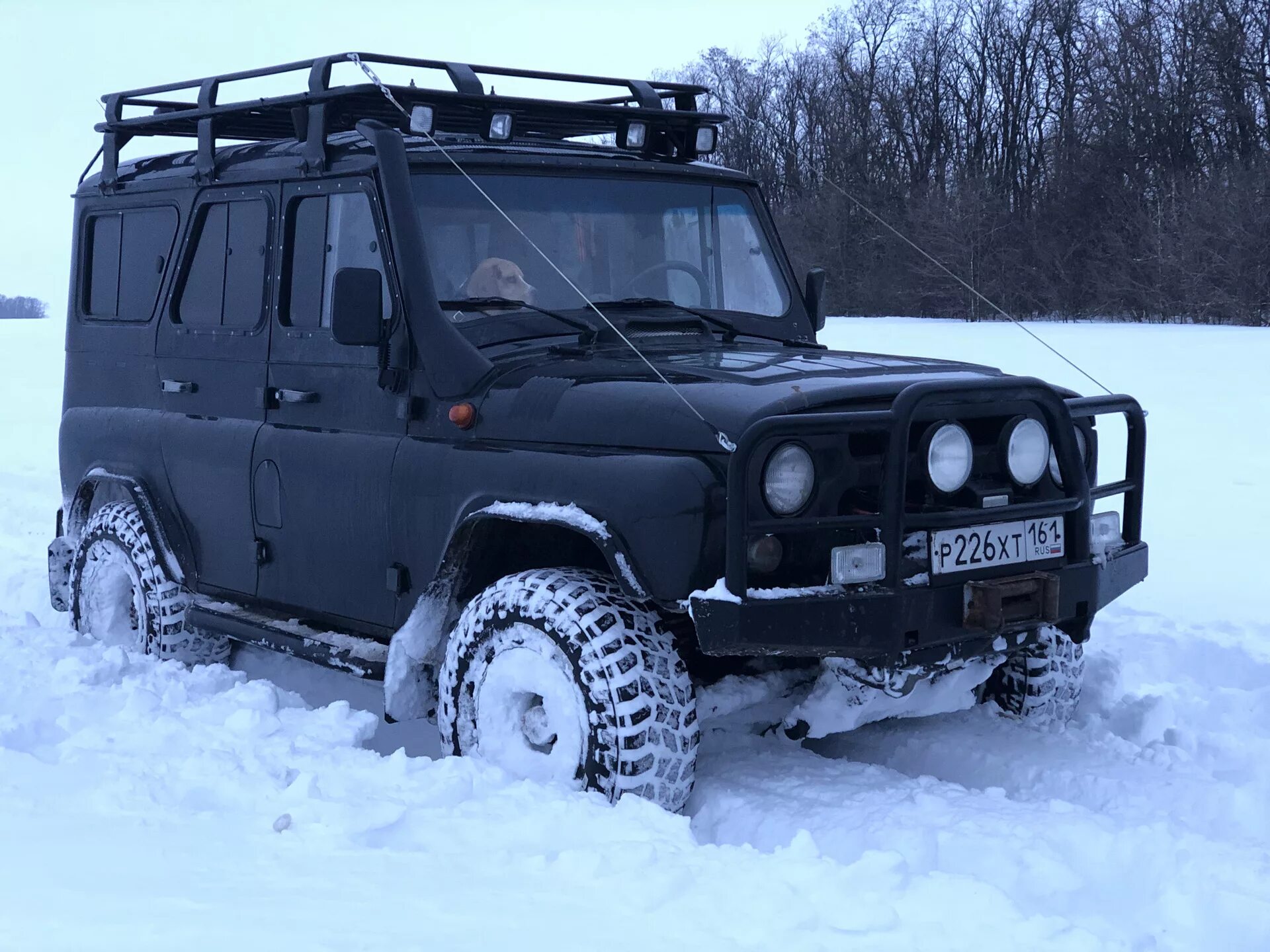 Куплю уаз для охоты. УАЗ 31519. УАЗ 31519 для охоты. УАЗ-31519 внедорожник для охоты. УАЗ 31519 черный на 33 колесах.