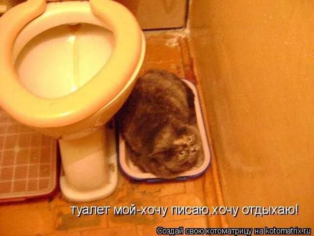 Хочу писать но нет возможности