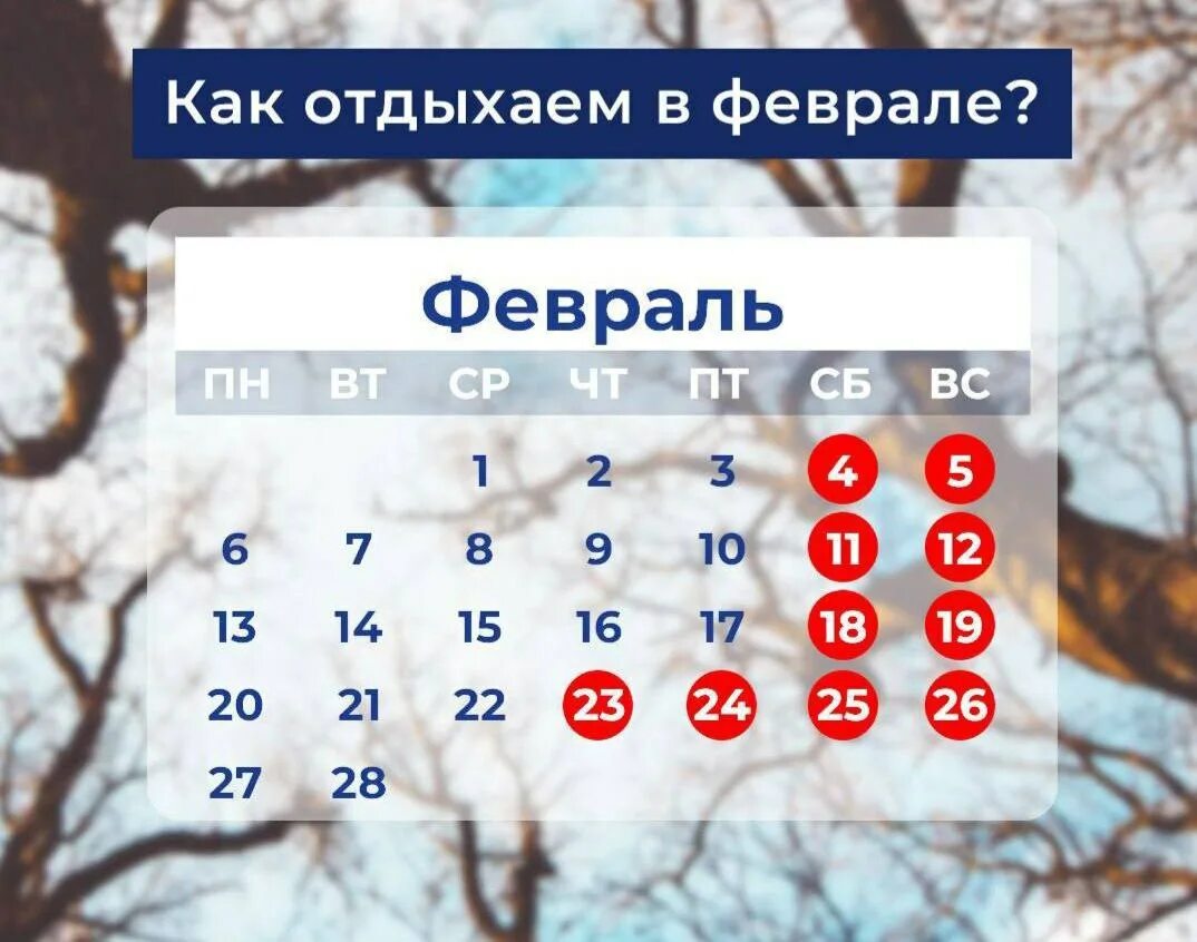 Как отдыхаем 4 ноября 23 года. Как отдыхаем 4 ноября 23 года