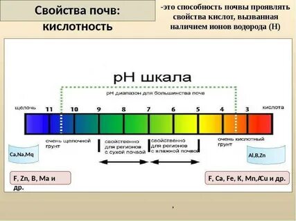 Ph для растений