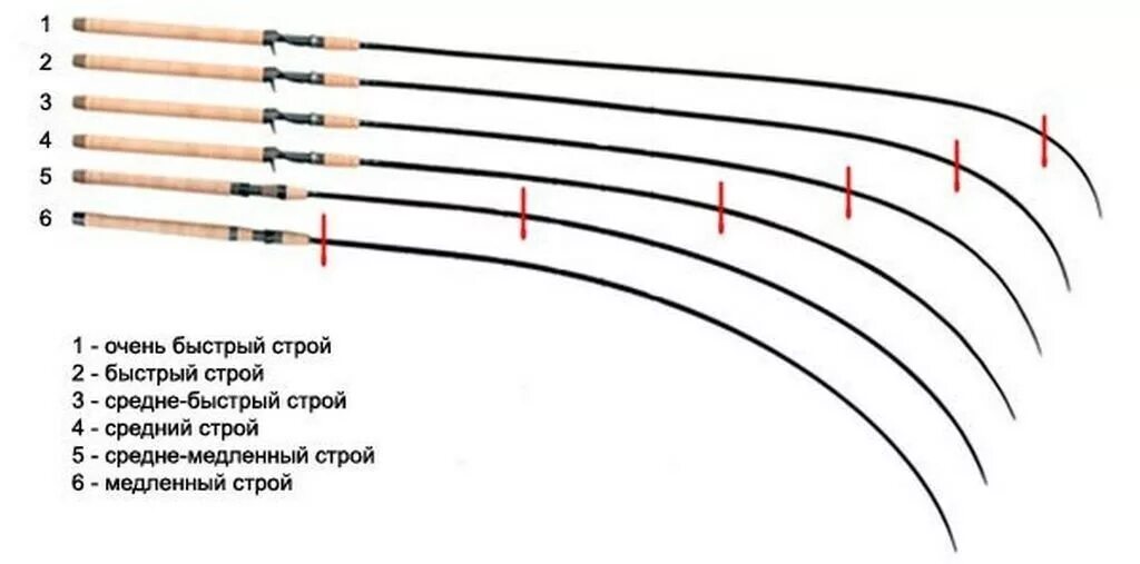 Какой должна быть длина удочки. Extra fast Строй спиннинга. Строй спиннинга Актион. Moderate fast Строй спиннинга. Строй спиннинга Медиум фаст.