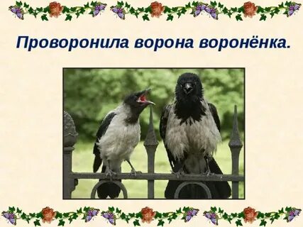 Проворонила ворона воронят